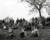 Black and white photograph showing groups of people sitting on a grassy bank next to a bare tree