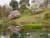 Photograph showing a still pond reflecting the green slope running down to its banks and two trees in blossom, one with pink flowers and the other white.