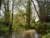 Photograph by Simon Roberts showing a river meandering through trees
