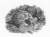 Black and white engraving of a tortoise facing towards us. Tortoise is looking off to it's left. There are leaves and foliage in the background.