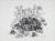 Black and white screenprint of a tortoise. Dandelion flowers in the background, snails in the foreground.