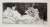 A black and white etching of Manet's famous painting Olympia. A naked, white sex worker reclines on cushions while staring out at the viewer. A black servant to the right is proffering a large bouquet of flowers. There is also a small black cat at the end of the bed.