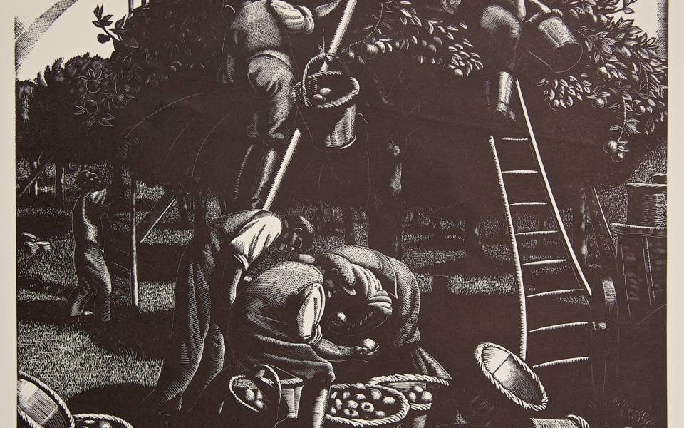 Clare Leighton, Apple Picking - September from 'The Farmer's Year'