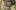 Head and shoulders of a woman in profile looking down towards the ground, apparently topless.
