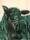 A sheep's head and torso rendered in green, black and white.