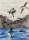 puffins in flight, on the rocks and the water.