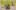 Green coloured room with open doorway to right and in the middle a small yacht with a white no sail and around it discarded benches