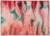 print of a cinema curtain in reds pinks and greens