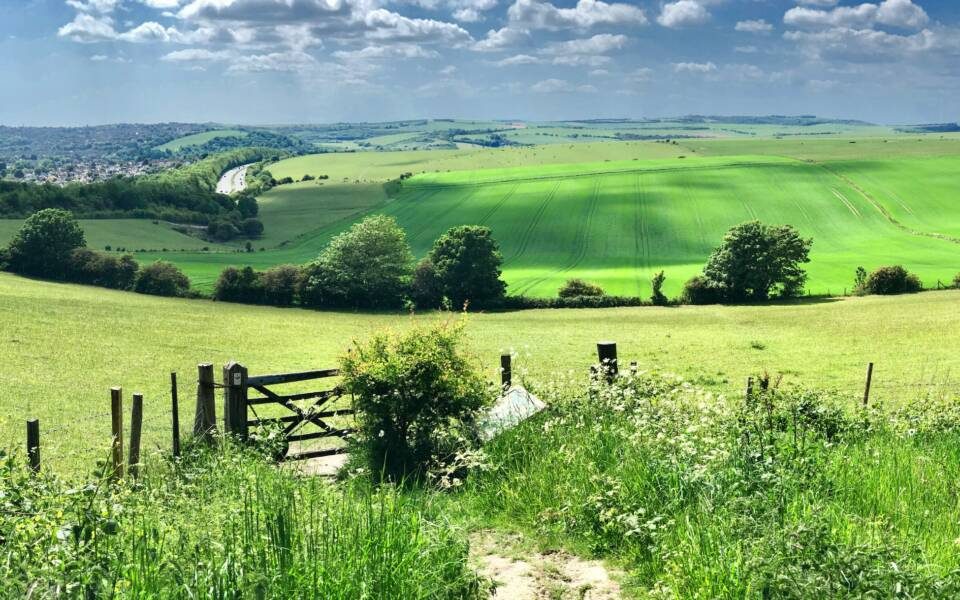 South Downs