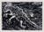 Wood cut print of a newt in black and white. It faces left and upwards on an incline.
