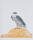 Print of a peregrine falcon perched on an orange earth mound looking to right.