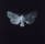 Mezzotint of a moth from above with wings outstretched