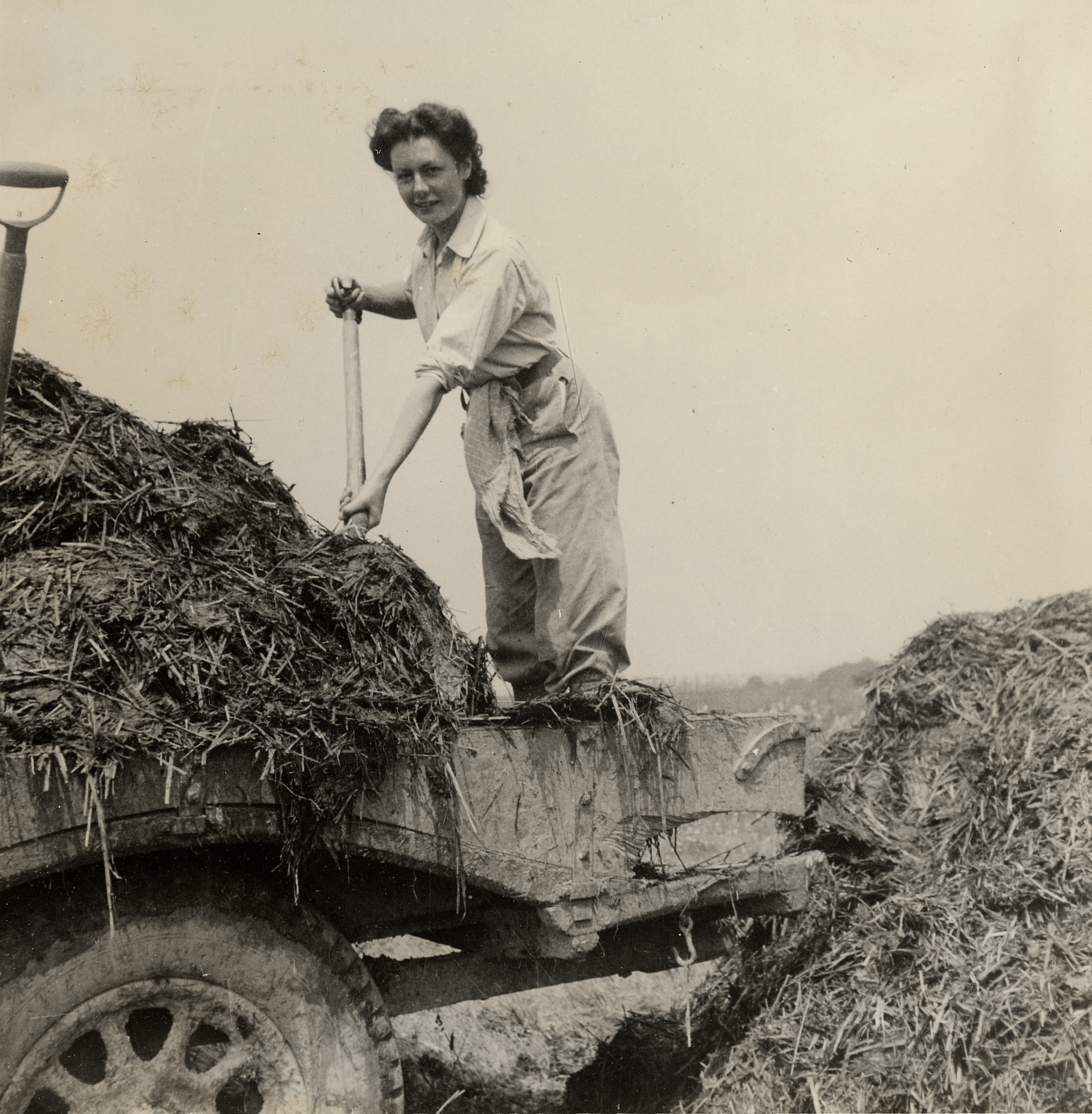 Muck raking at Manor Farm. Shows woman standing on a cart holding a tool and looking down at camera.