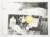 Black and white drawing of a yellow flower and bottles on a table. The flower is in the foreground, and the bottles are in the background. The text 