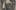 Print in black on beige background of a faceless figure holding a print of a man's face. In the background is a pattern of foliage and peacocks
