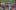 Photograph of a crowd of people in a courtyard surrounded by trees with coloured lanterns